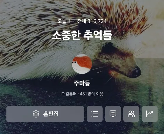 네이버 블로그 '소중한 추억들' 누적 조회수 316,724