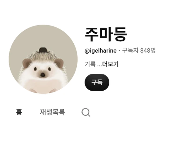유튜브 채널 '주마등' 구독자 848명